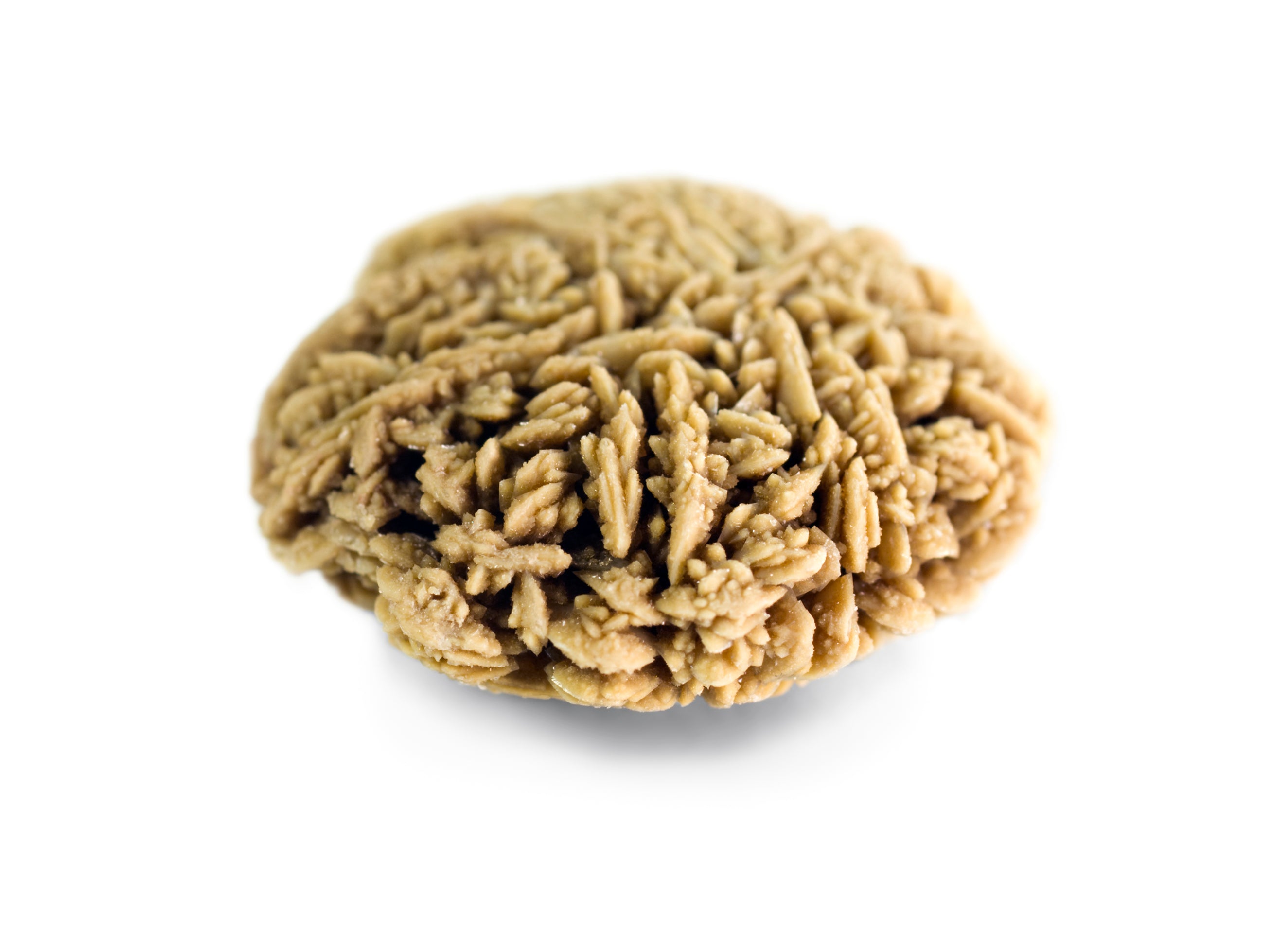 Calcium Oxalate Kidney Stone Photo